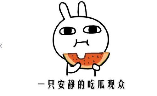 吃瓜事件什么意思,网络舆论场中的真相与误解